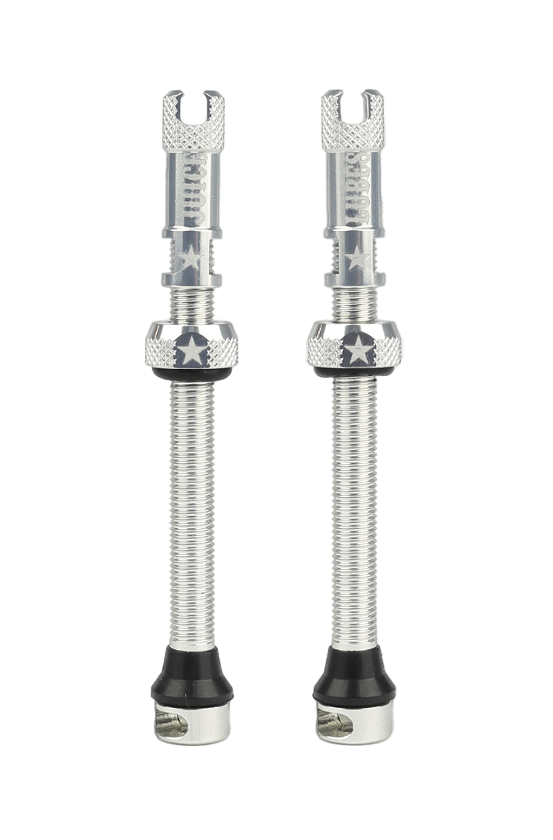 Juice Lubes Tubeless Valves Silver