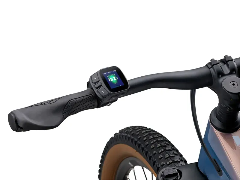 Liv Tempt E+ 25km/h eMountain Bike in Lunar Eclipse-9