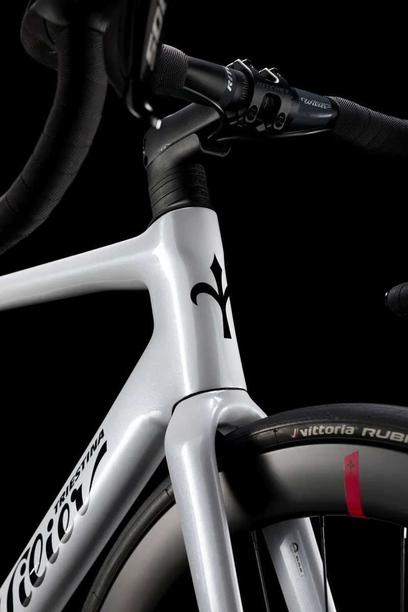 Wilier FILANTE SL RIVAL AXS SYNTHIUM SILVER BLACK-2