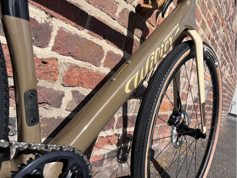 Wilier Rave SL - 1x12 GRX - Sand-6