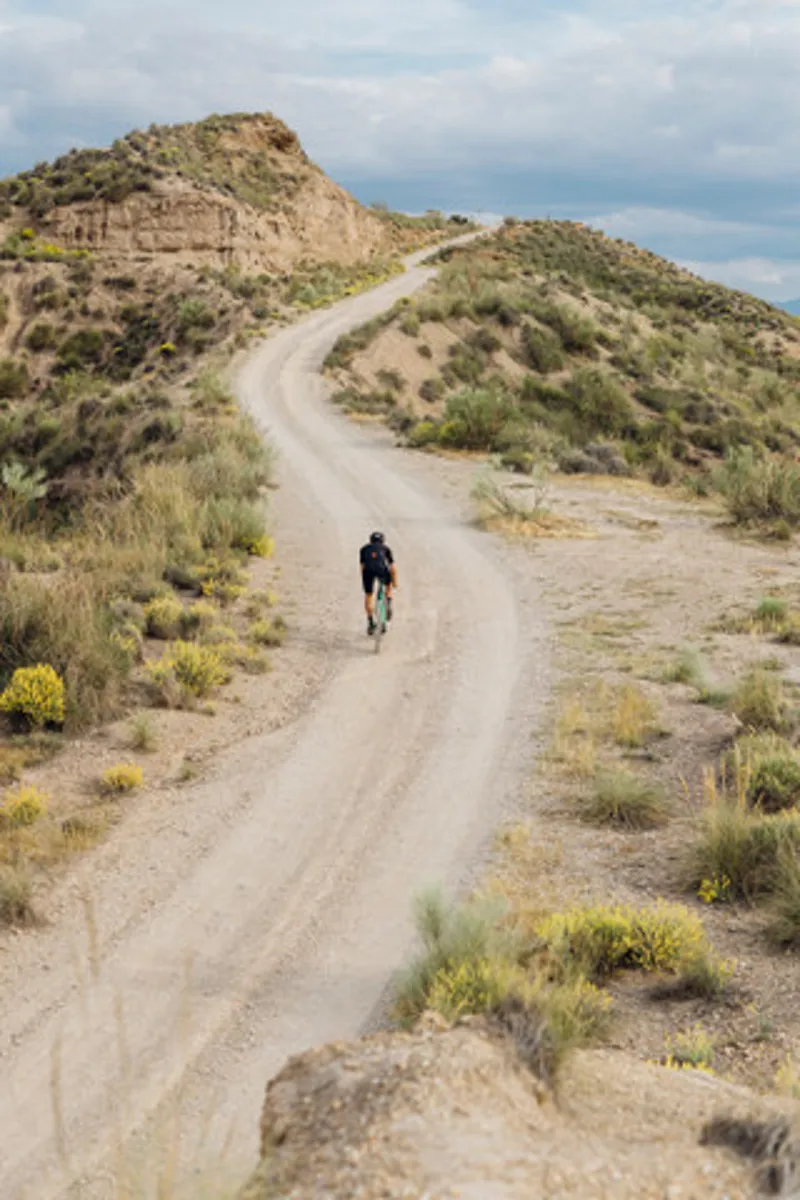 Wilier Rave ID2 GRX12 Graff Black-11