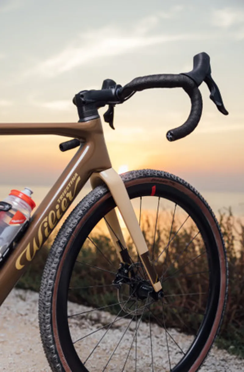 WILIER RAVE SL RIVAL XPLR D2 AXS GRAFF ALLROAD XS BROWN SAND-9