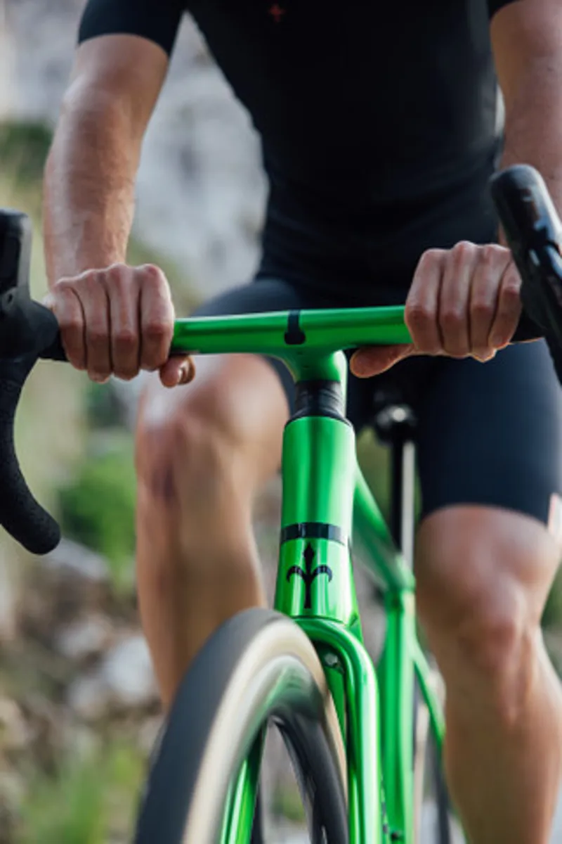 WILIER VERTICALE SLR FORCE D2 AXS KLEOS 36 HULK GREEN-12