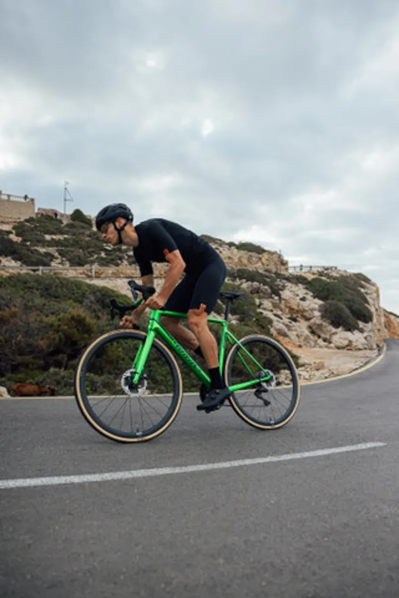 WILIER VERTICALE SLR FORCE D2 AXS KLEOS 36 HULK GREEN-10