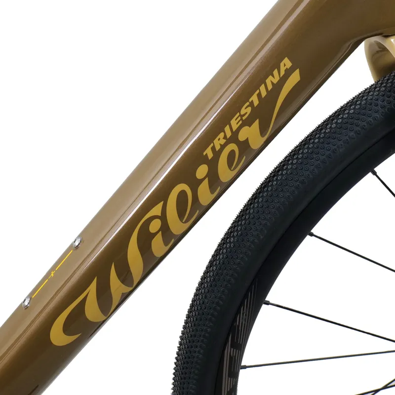 Wilier Rave SL GRX Bike Sand GRX 12spd-1