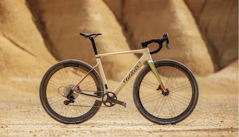 Wilier RAVE SLR FORCE D2 AXS KLEOS 36 WHITE GREY GLOSSY-4