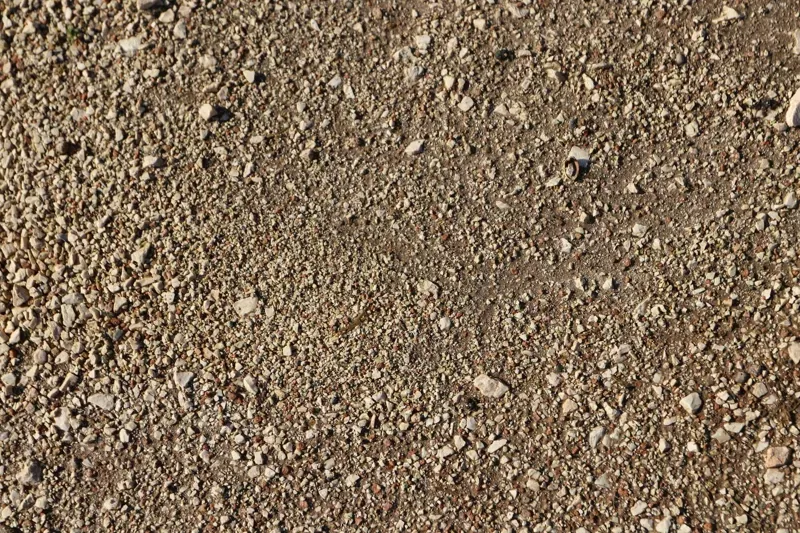 Vittoria Terreno T30 Fine/Loose Tyre - Tan-3